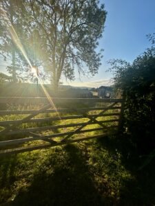Sunrise over the Black Mountain, mid Wales